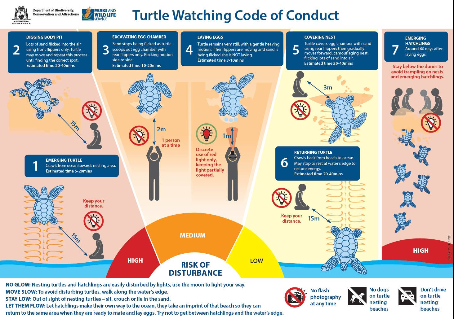 Code for watching turtles