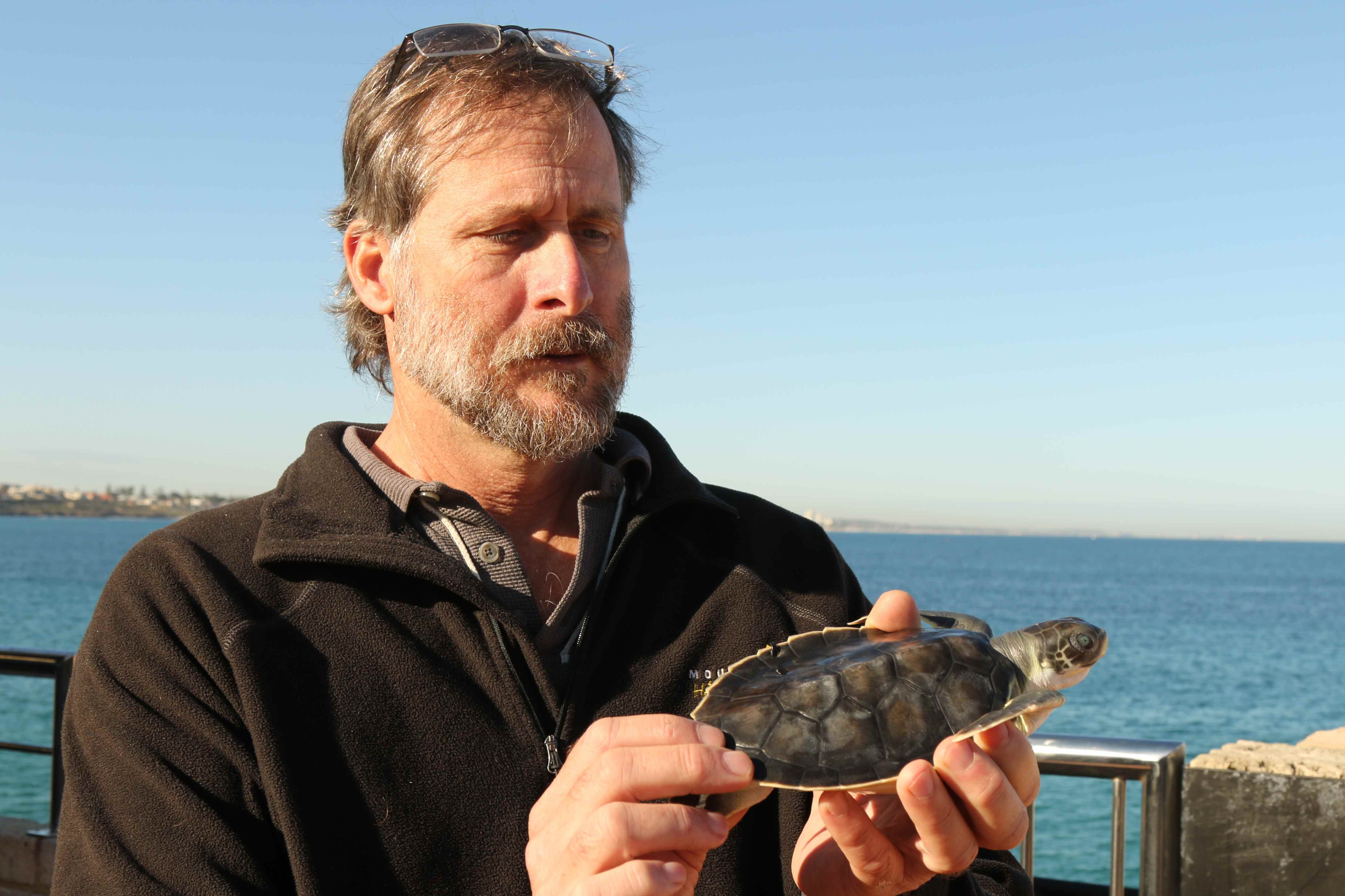 Tony Tucker holding a juvenile flatback turtle. 