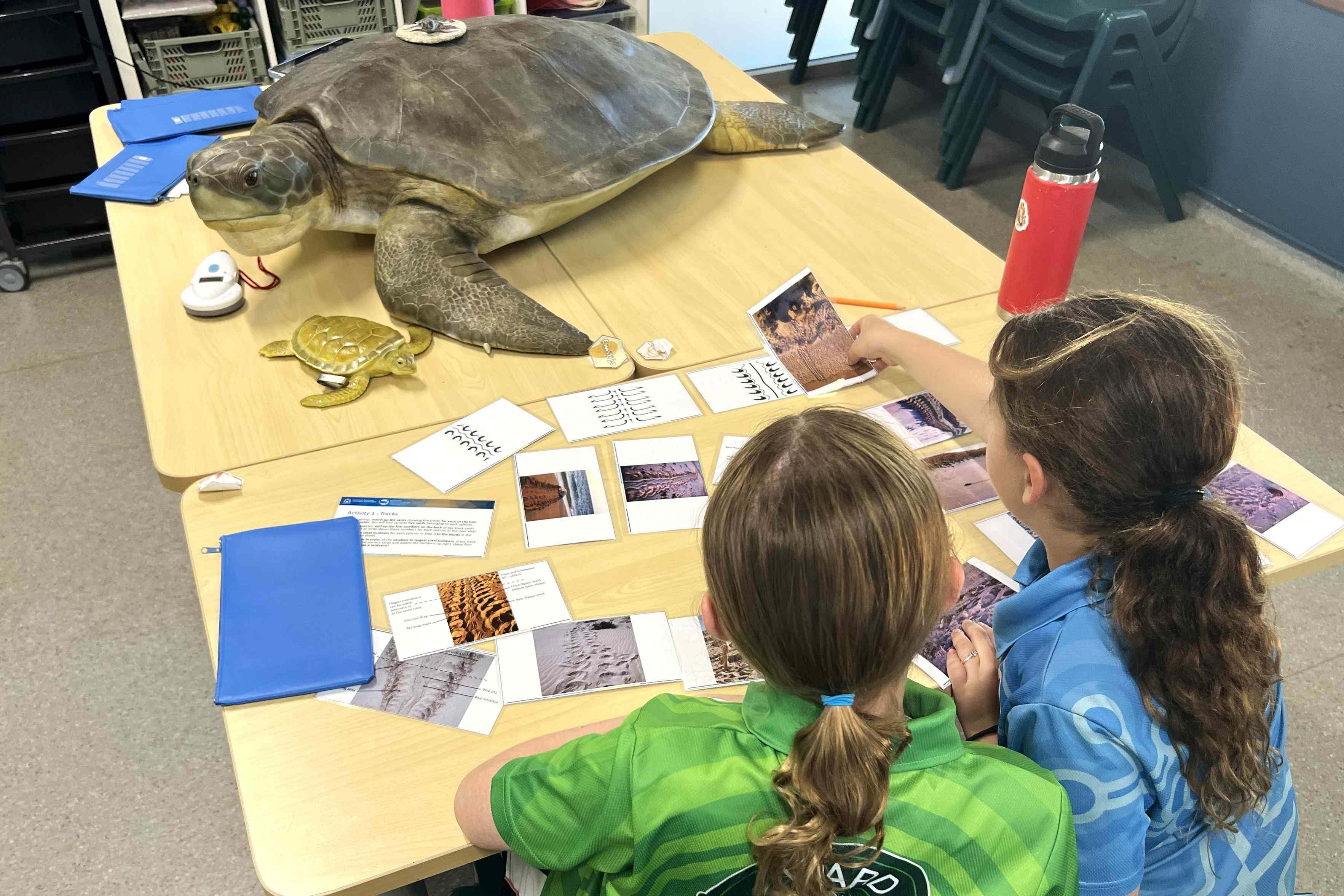 Science Week in Broome with students. 