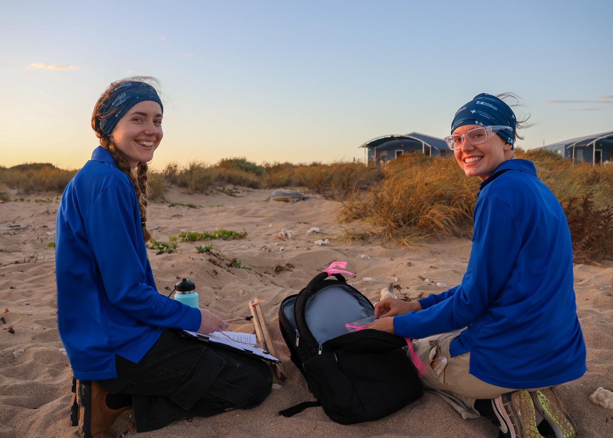 Turtle monitoring volunteers at Thevenard Island in 2025 with turtle nesting in background..